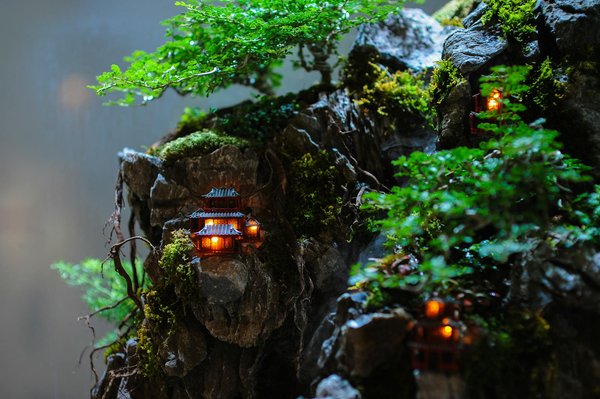 Quelles sont les implications des nouvelles lois sur la vie privée numérique ?