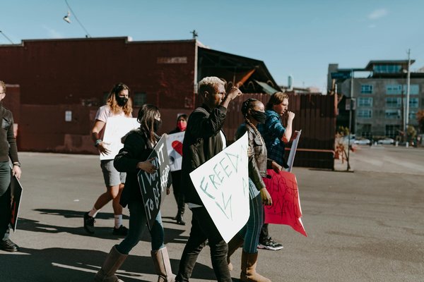 Solutions d'isolation en fibres de bois pour un habitat éco-performant
