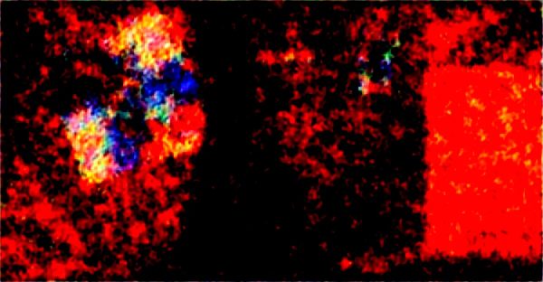 Classement 2025 : meilleurs sites de rencontre et clubs libertins