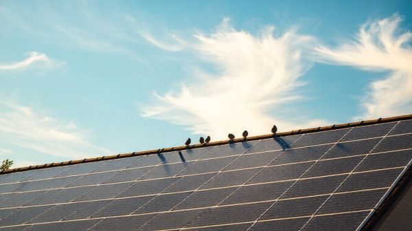 Guide complet pour maximiser les économies avec l'énergie solaire