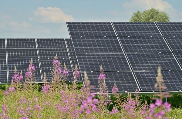 Top solutions pour sélectionner des panneaux photovoltaïques.
